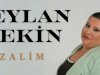 Ceylan Tekin’den “Zalim” Klibi Yayında