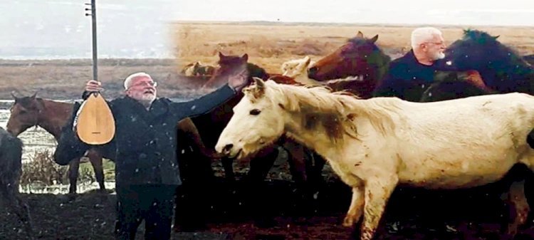 Az kalsın nalları dikiyordum